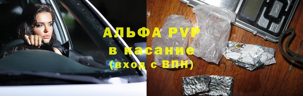 гашик Алексин