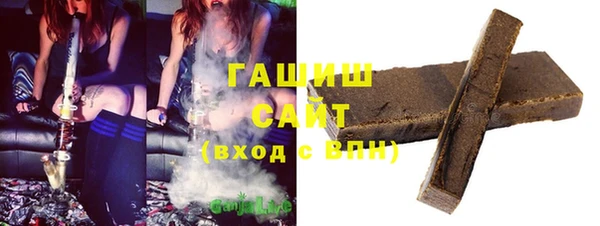 гашик Алексин