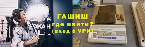 гашик Алексин
