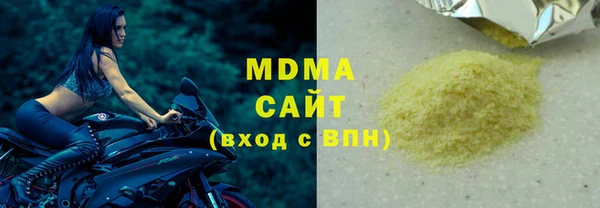 гашик Алексин