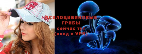 прущие крисы Алзамай