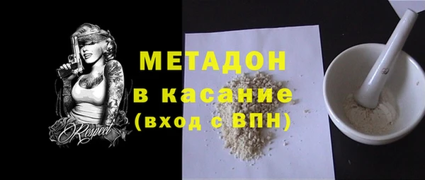 гашик Алексин