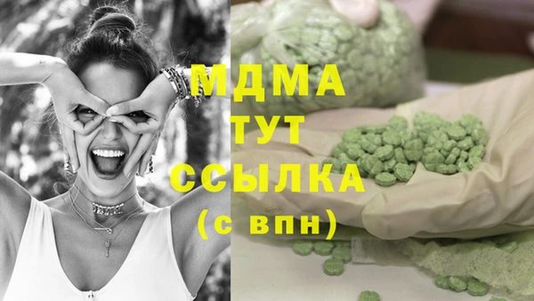 гашик Алексин
