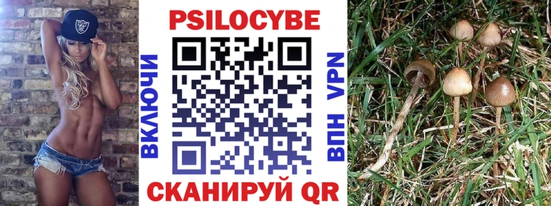 цена   Усть-Лабинск  Псилоцибиновые грибы прущие грибы 